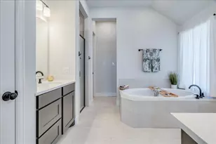 186 Prickly Poppy Loop, Kyle, TX 78640 - Photo 16