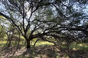 Tbd Lot 3 Sandy Mountain, Sunrise Beach, TX 78643 - Photo 1