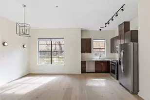 707 Cardinal Ln, Austin, TX 78704 - Photo 12