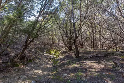 Lot 101 Montana Creek Crossing, Marble Falls, TX 78654 - Photo 12