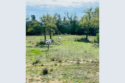 Lot 40 Prancing Deer Lane, Johnson City, TX 78636 - Photo 2