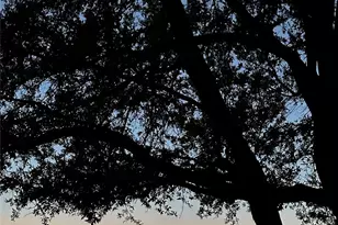 2121 Settlers Park Loop, Round Rock, TX 78665 - Photo 26