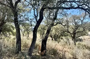 Lot 33 & Lot 34 Prince Peak St, Cottonwood Shores, TX 78657 - Photo 16