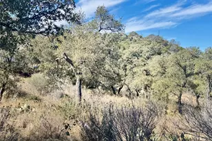 Lot 33 & Lot 34 Prince Peak St, Cottonwood Shores, TX 78657 - Photo 6