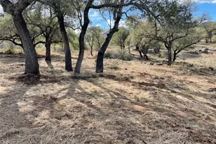 Lot 33 & Lot 34 Prince Peak St, Cottonwood Shores, TX 78657 - Photo 4