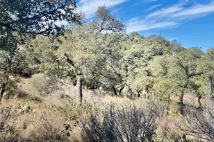 Lot 33 & Lot 34 Prince Peak St, Cottonwood Shores, TX 78657 - Photo 6