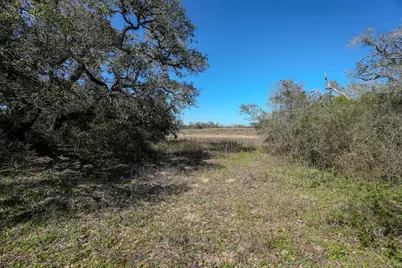 Tbd Forest Oaks Drive, Altair, TX 77412 - Photo 10
