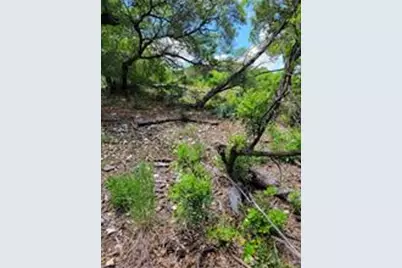 Lot 315 Private Road 1745 Road, Mico, TX 78056 - Photo 4