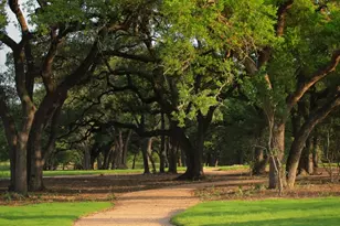 205 Belford St, Georgetown, TX 78628 - Photo 28