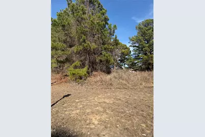 Lot 20 Indian Oak Drive, Bastrop, TX 78602 - Photo 2