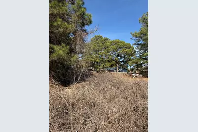 Lot 20 Indian Oak Drive, Bastrop, TX 78602 - Photo 4