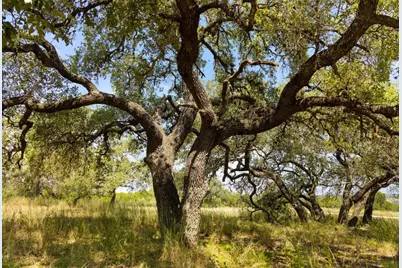 [Address not provided], Marble Falls, TX 78654 - Photo 14