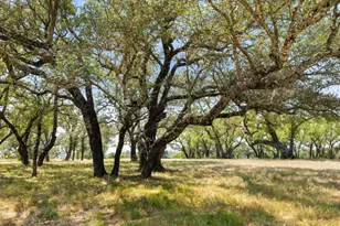 [Address not provided], Marble Falls, TX 78654 - Photo 10