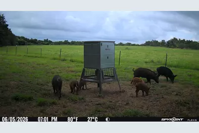 0000 Tbd Fm 979, Cameron, TX 76520 - Photo 2