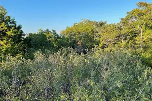 14602 Rock Cliff Cove, Leander, TX 78641 - Photo 20