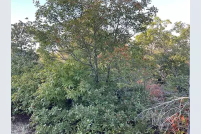 14602 Rock Cliff Cove, Leander, TX 78641 - Photo 26