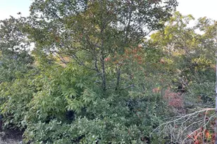 14602 Rock Cliff Cove, Leander, TX 78641 - Photo 26