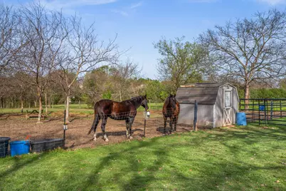 902 Ray Berglund Boulevard, Round Rock, TX 78664 - Photo 4