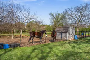 902 Ray Berglund Blvd, Round Rock, TX 78664 - Photo 4