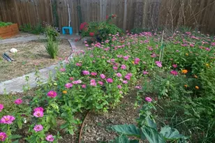 7809 Wakefield Dr, Austin, TX 78749 - Photo 20