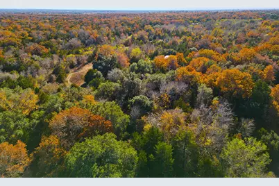 272 Deadwood Road, Cedar Creek, TX 78621 - Photo 12