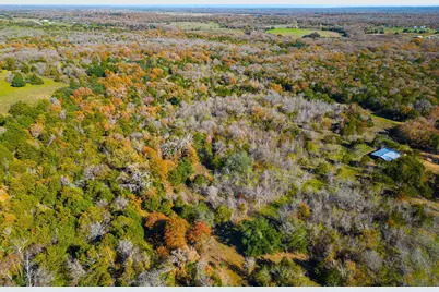 272 Deadwood Road, Cedar Creek, TX 78621 - Photo 32