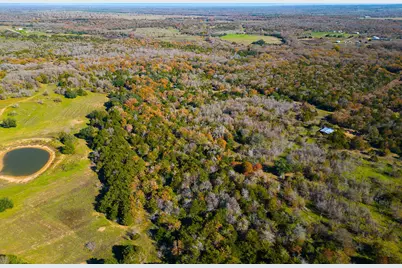 272 Deadwood Road, Cedar Creek, TX 78621 - Photo 34