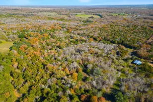 272 Deadwood Rd, Cedar Creek, TX 78621 - Photo 1