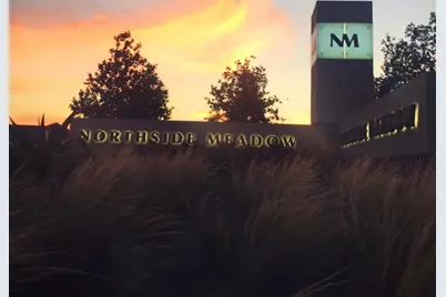 604 Heinatz Flat Lane, Leander, TX 78641 - Photo 38