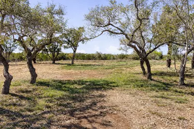 000 Spring Valley Drive, Dripping Springs, TX 78620 - Photo 4