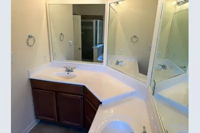 4387 Green Tree Drive, Round Rock, TX 78665 - Photo 16