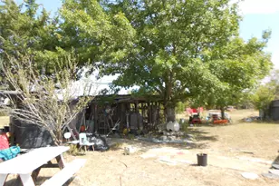 377 Crooked Rd, Dale, TX 78616 - Photo 14