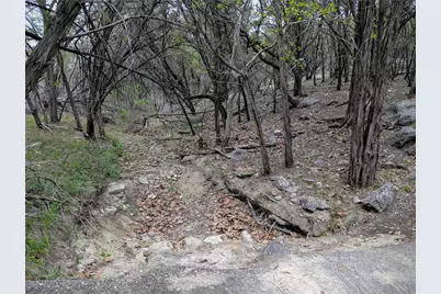 701 Plant Lady Lane, Dripping Springs, TX 78620 - Photo 18