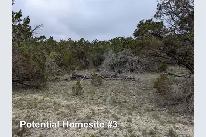 701 Plant Lady Lane, Dripping Springs, TX 78620 - Photo 20