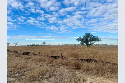 180 Altidore Avenue, Dale, TX 78616 - Photo 16