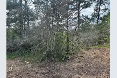 Lots 1263, 1264, 1265 Hanauma Drive, Bastrop, TX 78602 - Photo 4