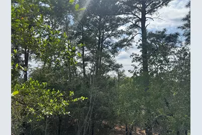 Lots 1263, 1264, 1265 Hanauma Drive, Bastrop, TX 78602 - Photo 1