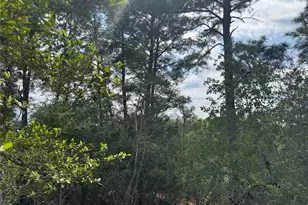 Lots 1263 1264 1265 Hanauma Dr, Bastrop, TX 78602 - Photo 1