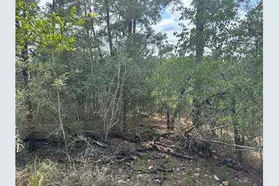 Lots 1263, 1264, 1265 Hanauma Drive, Bastrop, TX 78602 - Photo 10
