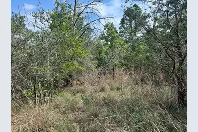 Lots 1263, 1264, 1265 Hanauma Drive, Bastrop, TX 78602 - Photo 8