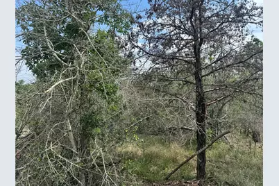 Lots 1263, 1264, 1265 Hanauma Drive, Bastrop, TX 78602 - Photo 6