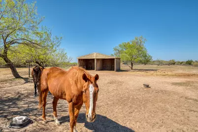 154 Three Oaks Lane, Bastrop, TX 78602 - Photo 32
