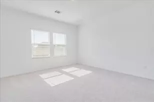 238 Dreyer, Kyle, TX 78640 - Photo 12