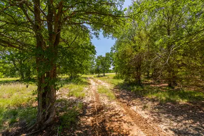 Tbd County Road 180 72 Ac Road, Purmela, TX 76566 - Photo 18