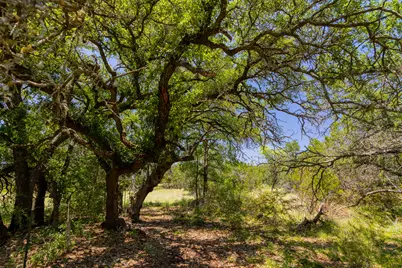Tbd County Road 180 72 Ac Road, Purmela, TX 76566 - Photo 6