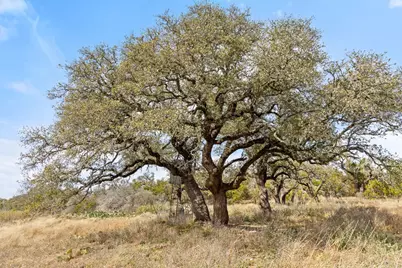 727 Becker Road, Johnson City, TX 78636 - Photo 8