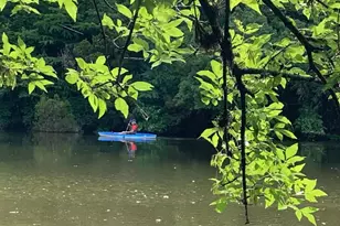 5607 Courtyard Dr, Austin, TX 78731 - Photo 38