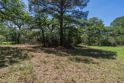 133 Roundup Ridge, Smithville, TX 78957 - Photo 8