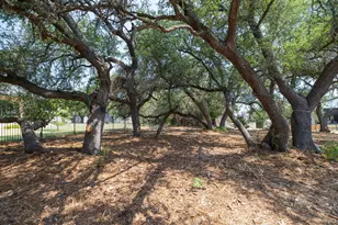 903 Flint Ridge Trail, Georgetown, TX 78628 - Photo 34