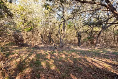 202,204,208 Thomas Oaks Drive, Wimberley, TX 78676 - Photo 8